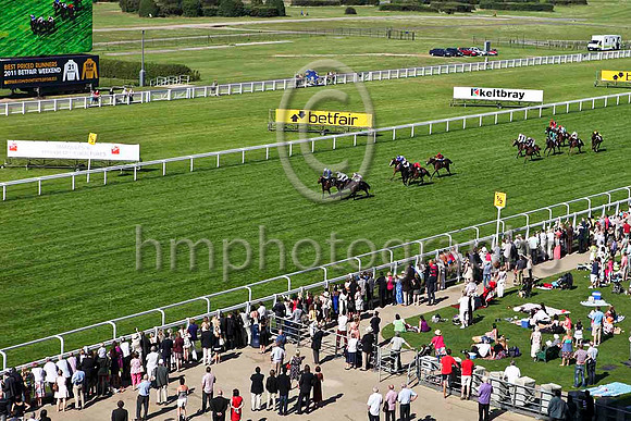 R5 Dalkova & R Hughes - Winner (1, royal blue, red chevrons) - IMG_9975-e