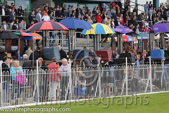 Spectators at Down Royal