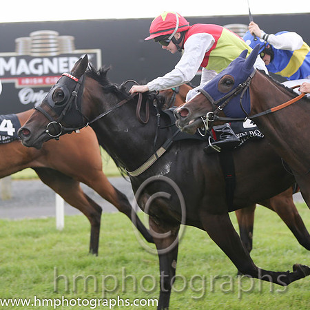 2nd No 2 Catwilldo (IRE) (6) - Jockey: G J Phillips (5) - Trainer: G Donnelly - Colours: red and green qtrd