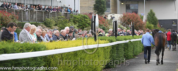 Parade Ring at Down Royal