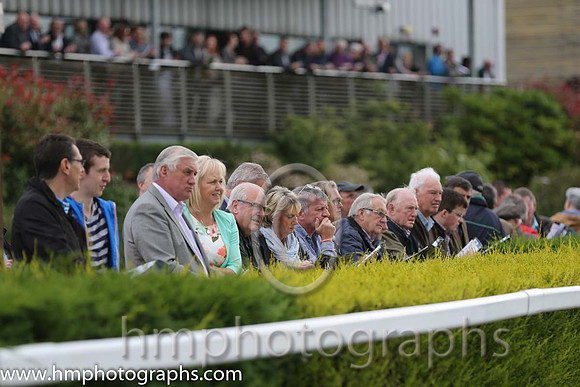 Parade Ring at Down Royal