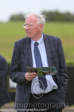Parade Ring at Down Royal