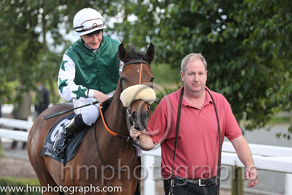 8th No 6 An Droichead (IRE) (3) - Jockey: S Foley - Trainer: A J Martin - Colours: dark green