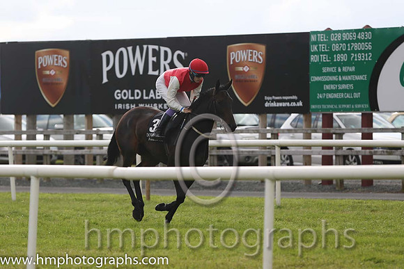 2nd No 3 Gladly (IRE) (3) - Jockey: F M Berry - Trainer: C O'Brien - Colours: red