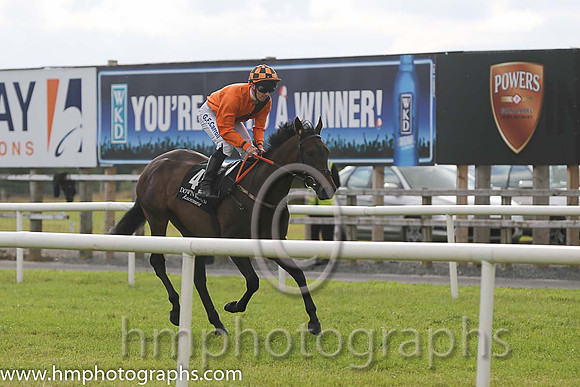 1st No 4 Peace Mission (IRE) (1) - Jockey: G F Carroll - Trainer: T Mullins - Colours: orange, brown sash