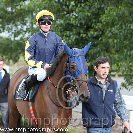 11th No 12 Dutch Party (13) - Jockey: G F Carroll - Trainer: Jane M Foley - Colours: dark blue, yellow diamonds on sleeves