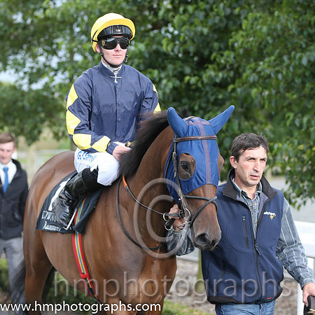 11th No 12 Dutch Party (13) - Jockey: G F Carroll - Trainer: Jane M Foley - Colours: dark blue, yellow diamonds on sleeves