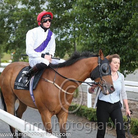 7th No 7 Norville (IRE) (2) - Jockey: J P O'Brien - Trainer: L Smyth - Colours: white, purple sash