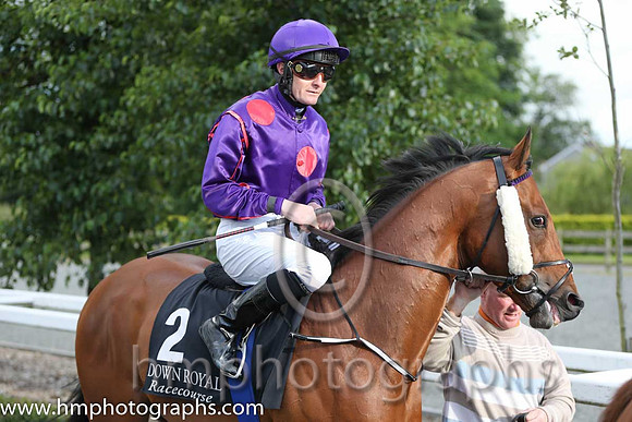 10th No 2 Mr Good Guy (IRE) (9) - Jockey: C O'Donoghue - Trainer: E Lynam - Colours: purple., large red spots