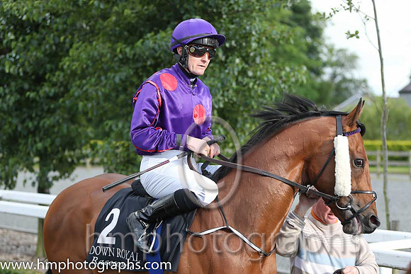 10th No 2 Mr Good Guy (IRE) (9) - Jockey: C O'Donoghue - Trainer: E Lynam - Colours: purple., large red spots