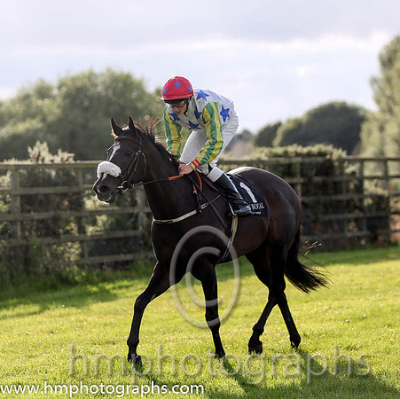 8th No 1 Lake George (IRE) (12) - Jockey: D M Redmond (7) - Trainer: J M Barrett - Colours: white, royal blue stars