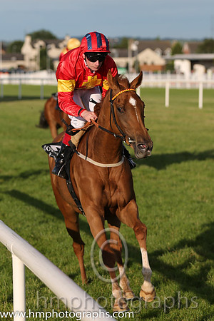 3rd No 2 Colour Rhapsody (IRE) (1) - Jockey: D P McDonogh - Trainer: J M Oxx - Colours: red, yellow cross