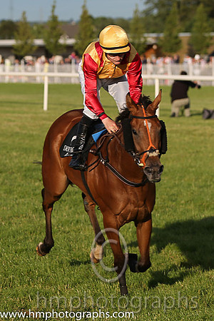 4th No 7?Buzz Off Barroso (IRE) (6) - Jockey: S Foley - Trainer: Mrs J Harrington - Colours: yellow, red epaulettes
