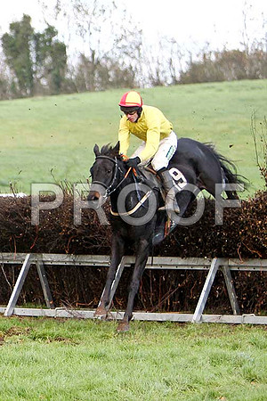 Gale Force Oscar , Winner , Jockey Derek O'Connor - FT8E6277-e2