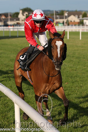 5th No 3 Private Paradise (IRE) (7) - Jockey: W J Lee - Trainer: D Wachman - Colours: red, wite seams