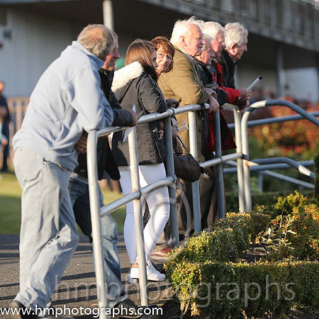 Spectators at Down Royal