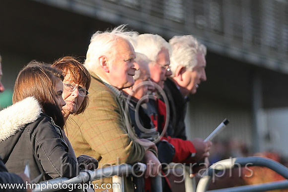 Spectators at Down Royal