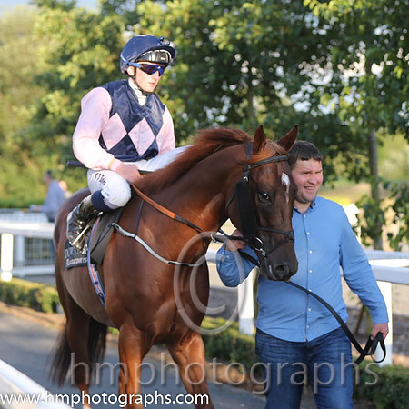 1st No 3 Park Rebel (IRE) (2) - Jockey: C D Hayes - Trainer: P D Deegan - Colours: darj blue, pink triple diamond