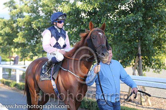 1st No 3 Park Rebel (IRE) (2) - Jockey: C D Hayes - Trainer: P D Deegan - Colours: darj blue, pink triple diamond