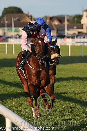 1st No 3 Park Rebel (IRE) (2) - Jockey: C D Hayes - Trainer: P D Deegan - Colours: darj blue, pink triple diamond