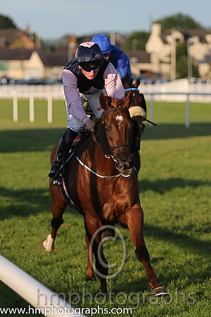 1st No 3 Park Rebel (IRE) (2) - Jockey: C D Hayes - Trainer: P D Deegan - Colours: darj blue, pink triple diamond