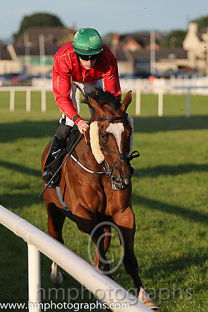 3rd No 4 Alcock And Brown (IRE) (6) - Jockey: W J Lee - Trainer: A Oliver - Colours: red, yellow seams
