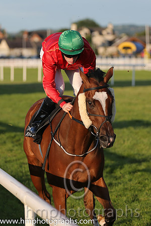 3rd No 4 Alcock And Brown (IRE) (6) - Jockey: W J Lee - Trainer: A Oliver - Colours: red, yellow seams
