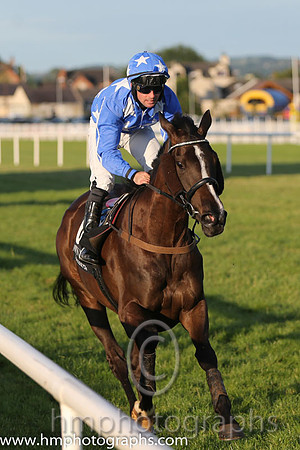 4th No 6 Rolanna (IRE) (4) - Jockey: R P Cleary - Trainer: Miss Jones - Colours: royal blue, white stars