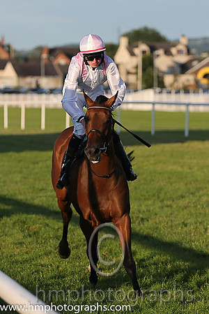 6th No 2 Sheeba (3) - Jockey: C R King (3) - Trainer: D Marnane - Colours: white, pink epaulettes