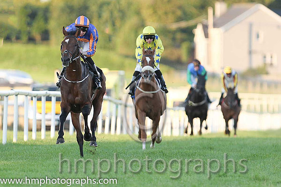 1st No 4 Order Of St George (IRE) (3) - Jockey: J P O'Brien - Trainer: A P O'Brien - Colours: royal blue, orange disc