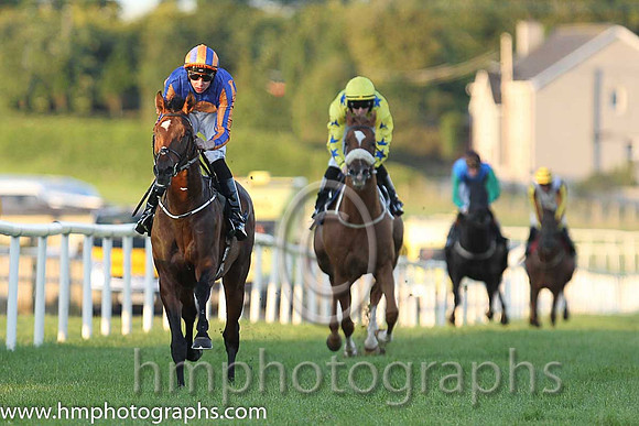 1st No 4 Order Of St George (IRE) (3) - Jockey: J P O'Brien - Trainer: A P O'Brien - Colours: royal blue, orange disc