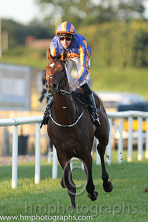 1st No 4 Order Of St George (IRE) (3) - Jockey: J P O'Brien - Trainer: A P O'Brien - Colours: royal blue, orange disc