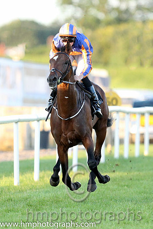 1st No 4 Order Of St George (IRE) (3) - Jockey: J P O'Brien - Trainer: A P O'Brien - Colours: royal blue, orange disc