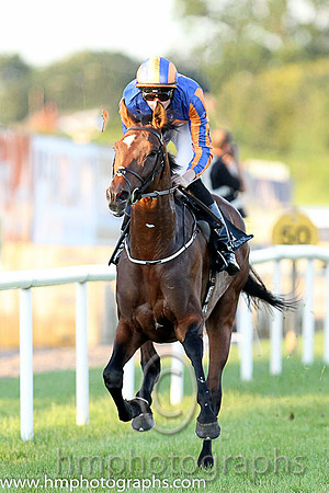 1st No 4 Order Of St George (IRE) (3) - Jockey: J P O'Brien - Trainer: A P O'Brien - Colours: royal blue, orange disc