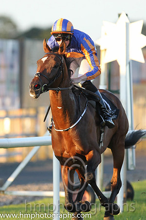 1st No 4 Order Of St George (IRE) (3) - Jockey: J P O'Brien - Trainer: A P O'Brien - Colours: royal blue, orange disc