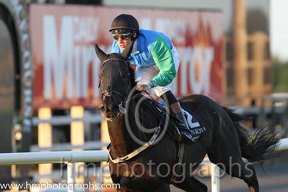 3rd No 2 Shamar (FR) (1) - Jockey: R Coakley (5) - Trainer: R K Watson - Colours: blue, green sleeves