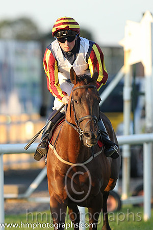 4th No 3 Shrewd (4) - Jockey: C D Hayes - Trainer: L Smyth - Colours: dark blue, white cross sashes