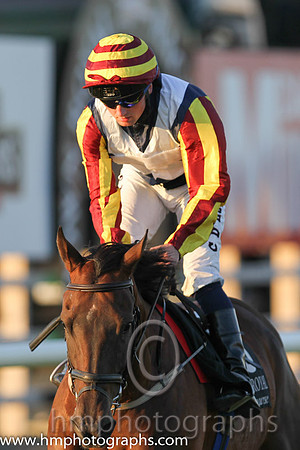 4th No 3 Shrewd (4) - Jockey: C D Hayes - Trainer: L Smyth - Colours: dark blue, white cross sashes