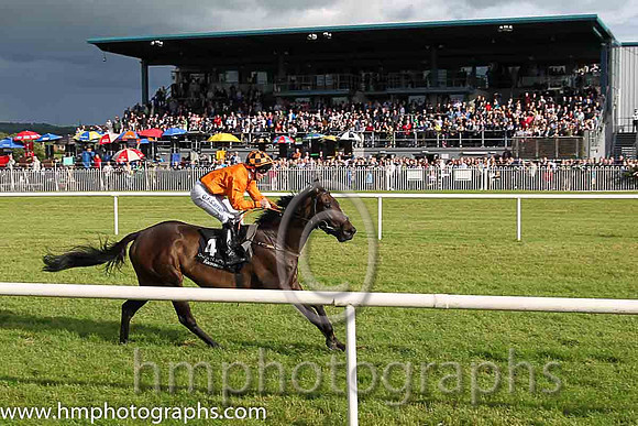 1st No 4 Peace Mission (IRE) (1) - Jockey: G F Carroll - Trainer: T Mullins - Colours: orange, brown sash
