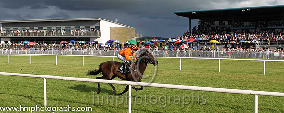1st No 4 Peace Mission (IRE) (1) - Jockey: G F Carroll - Trainer: T Mullins - Colours: orange, brown sash