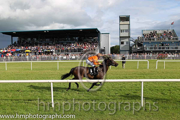 1st No 4 Peace Mission (IRE) (1) - Jockey: G F Carroll - Trainer: T Mullins - Colours: orange, brown sash