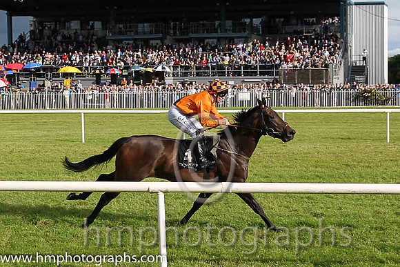 1st No 4 Peace Mission (IRE) (1) - Jockey: G F Carroll - Trainer: T Mullins - Colours: orange, brown sash