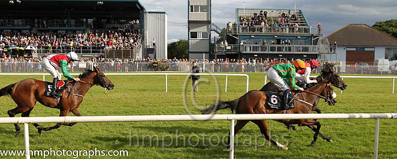 4th No 5 Rest Assured (IRE) (5) - Jockey: C P Hoban - Trainer: P D Deegan - Colours: red, white sash