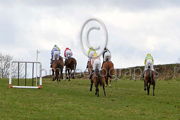 Mr Homer in the lead - FT8E9989-e