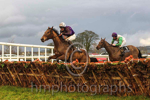 01st Court Jester & J S McGarvey - winner (10, purple, white cap) - CU2D5603-e