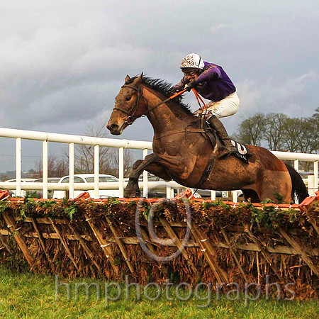 01st Court Jester & J S McGarvey - winner (10, purple, white cap) - CU2D5604-e2
