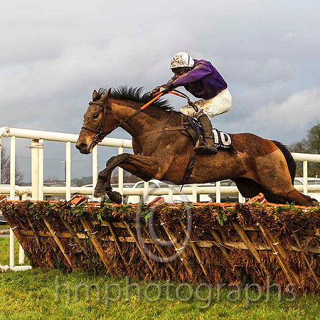 01st Court Jester & J S McGarvey - winner (10, purple, white cap) - CU2D5605-e2