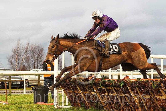 01st Court Jester & J S McGarvey - winner (10, purple, white cap) - CU2D5606-e2