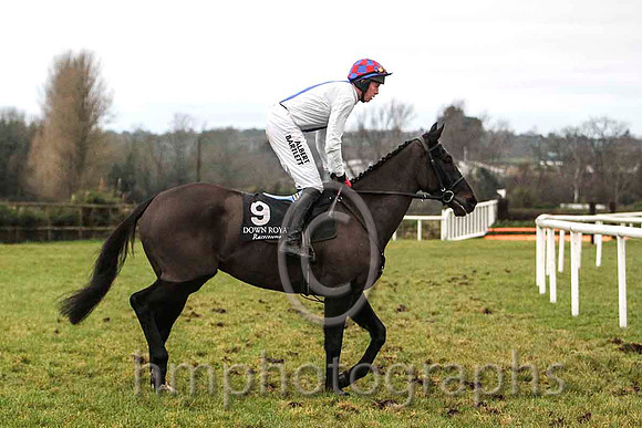 01st - Ceasar Milan & Mr W Thompson - winner (9, white, royal blue panel) - FT8E9865-e2