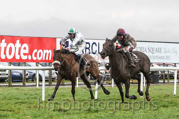 02nd - Lots of Memories & Mr M Fahey - 2nd (5, white, emerald green stars) & Ceasar Milan & Mr W Thompson - winner (9, white, royal blue panel) - FT8E9922-e2